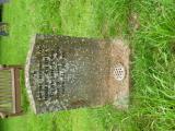 image number Msj50